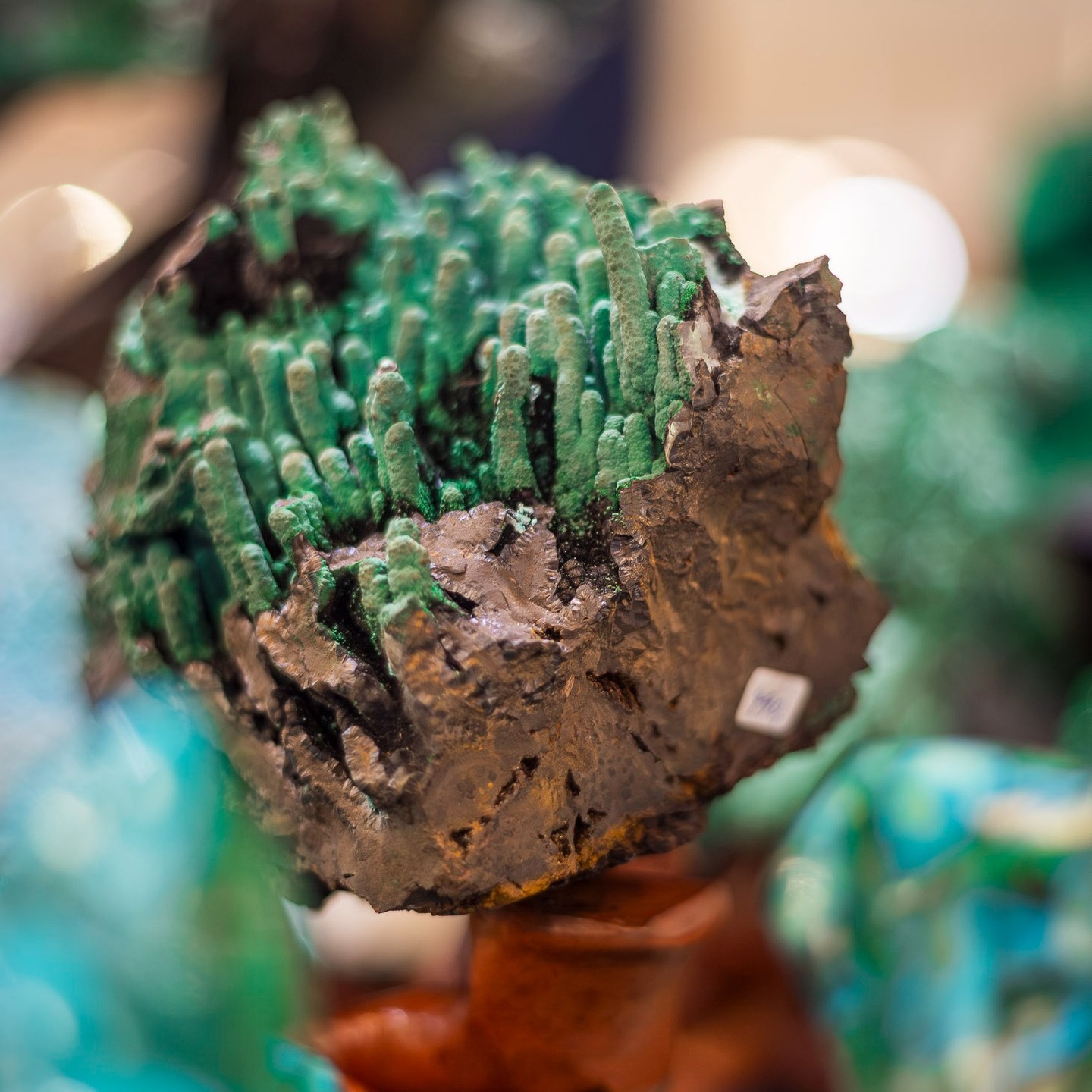 Zwischen funkelnden Schätzen aus Afrika auf den Edelsteintagen Bremen 2026 ✨
Jeder Stein erzählt seine eigene Geschichte 🌍💎 #Edelsteine #Afrika #Mineralien