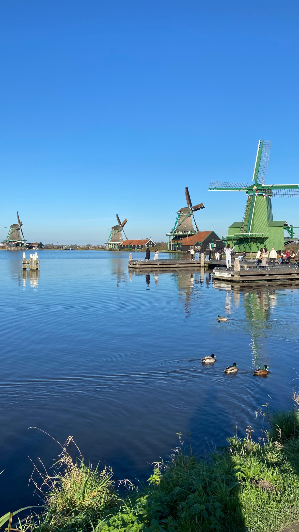 Your spring getaway starts at The Florian Hotel ?
Perfectly located to explore the best of the Netherlands — from Amsterdam, Haarlem, Hoofddorp and Zaanse Schans ?️?? to world-famous highlights like Keukenhof, ADE, Formula 1, flower auctions and Mysteryland ??️?
So many places to discover, so many experiences to enjoy… and always the comfort of returning to the most relaxing hotel in the Netherlands ??️
#TheFlorianHotel #SpringInTheNetherlands #Amsterdam #TravelEurope #Hotel