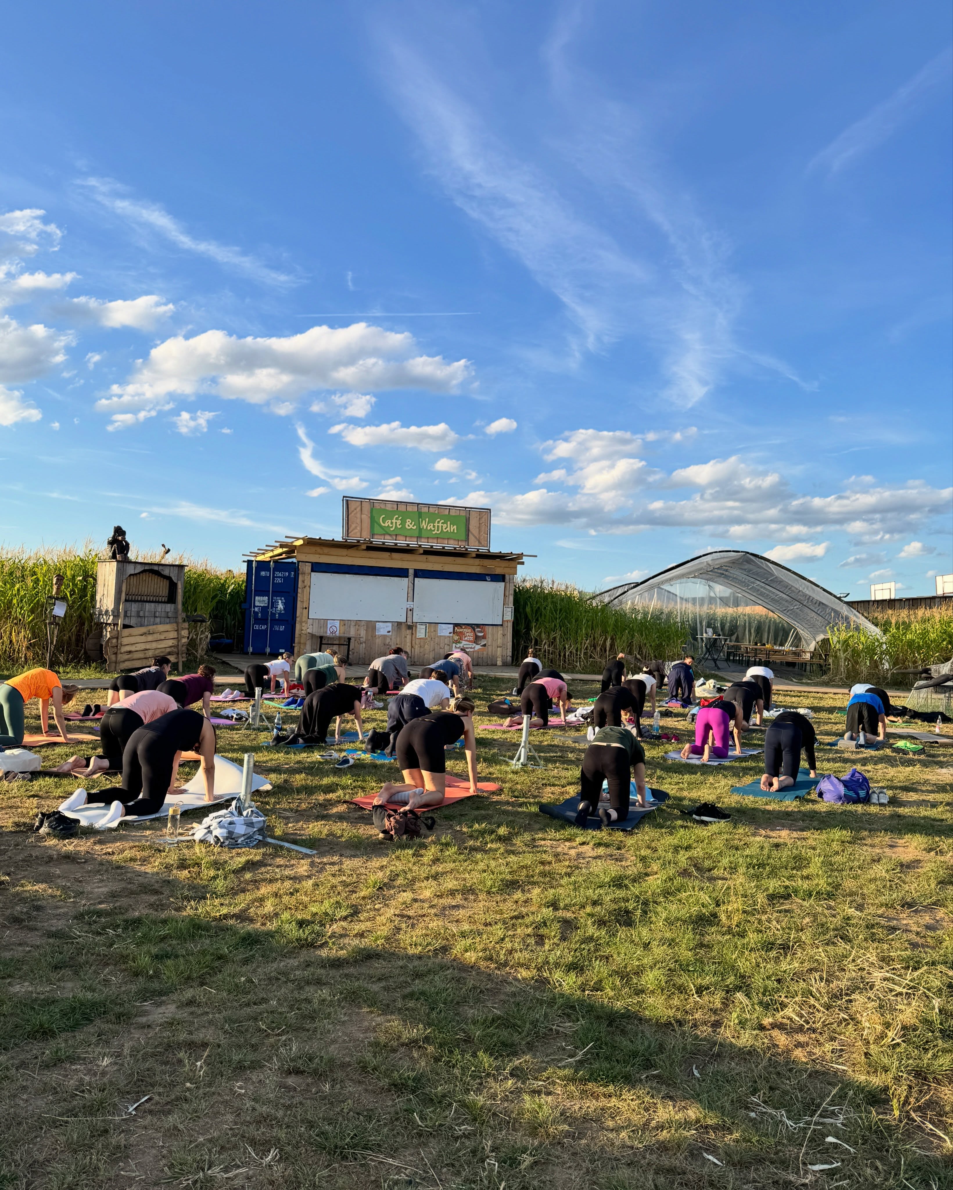 So schön war unser Yoga-Abend im Maislabyrinth 🌿🧘🏼♀️✨
Zwischen Maispflanzen und unter freiem Himmel haben wir gemeinsam den Alltag für einen Moment hinter uns gelassen, tief durchgeatmet und Energie gesammelt 💫
Und wenn ihr beim nächsten Mal dabei sein möchtet: Am Donnerstag, dem 03.09., findet unser nächster Yoga-Abend im Maislabyrinth statt. 🌽
Der Yoga-Kurs ist kostenlos. Alle Infos und die Anmeldung findet ihr auf unserer Website.
Wir freuen uns auf euch! 🧡
#yoga #maislabyrinth